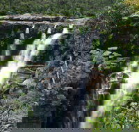 Carrington Falls - Accommodation Sunshine Coast