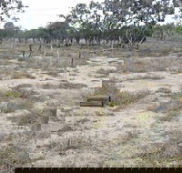 Culgoa Connellys Track