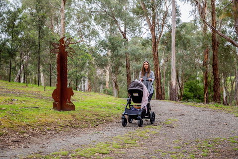 Currawong Bush Park - Accommodation Sunshine Coast 0