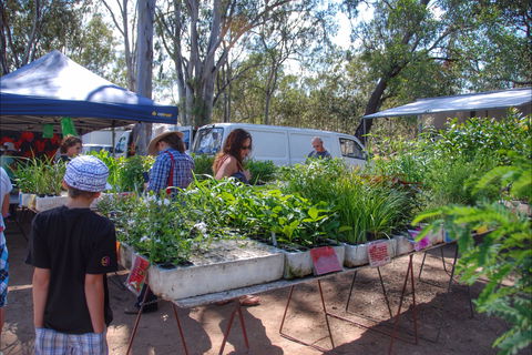 Fernvale Country Markets - Accommodation Sunshine Coast 0