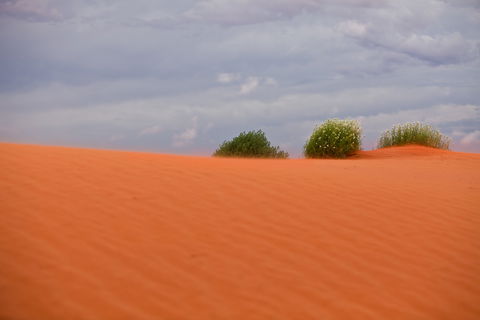 Munga-Thirri - Simpson Desert Conservation Park And Regional Reserve - Accommodation Sunshine Coast 0