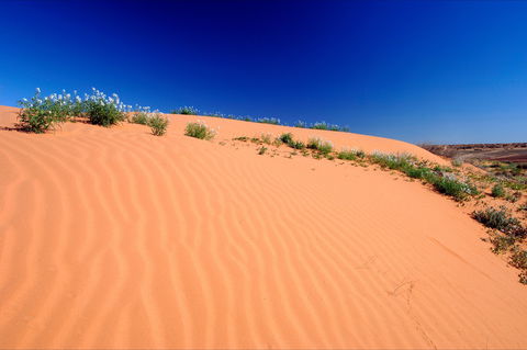 Munga-Thirri - Simpson Desert Conservation Park And Regional Reserve - Accommodation Sunshine Coast 1