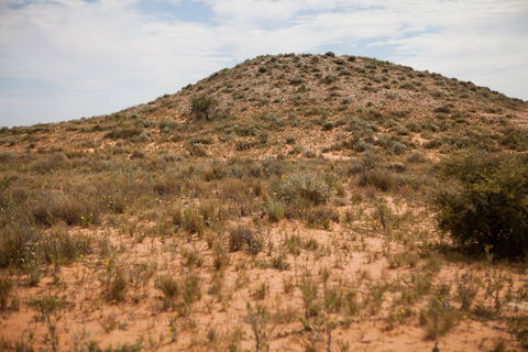 Munga-Thirri - Simpson Desert Conservation Park And Regional Reserve - Accommodation Sunshine Coast 2