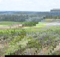 Princess Hills Girringun National Park - Accommodation Sunshine Coast