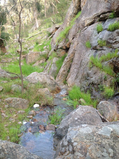 Salisbury Falls Walk - Accommodation Sunshine Coast 2