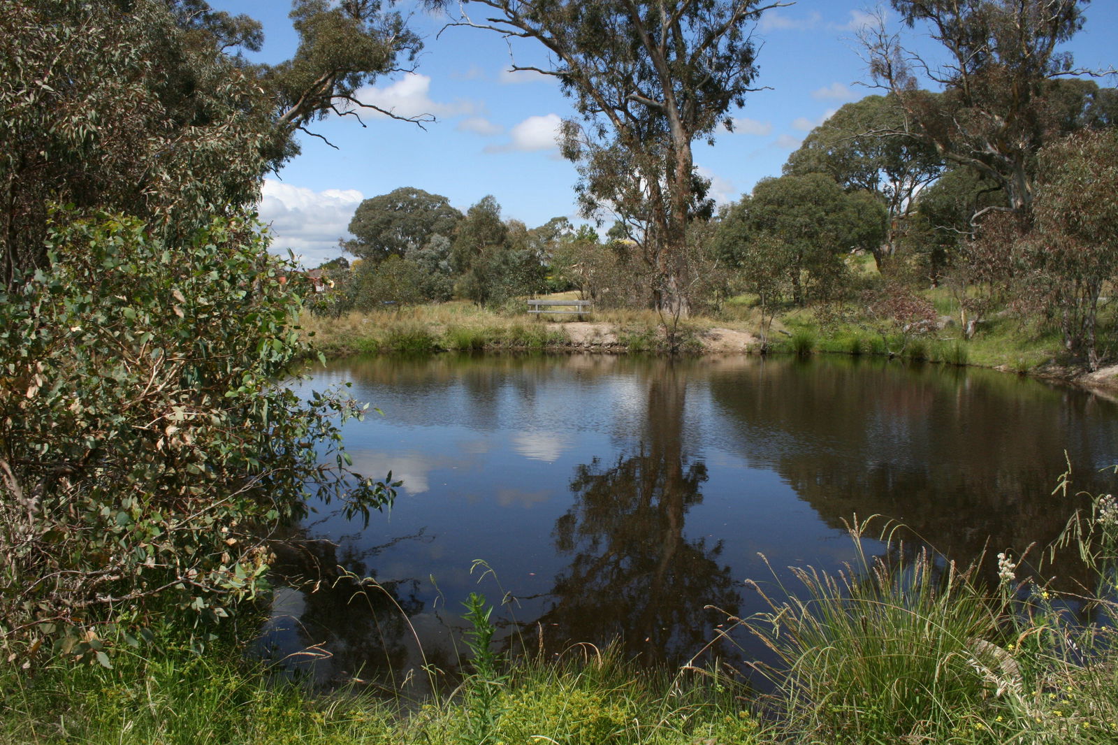Chapman ACT Accommodation Sunshine Coast
