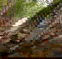Florence Falls - Accommodation Sunshine Coast