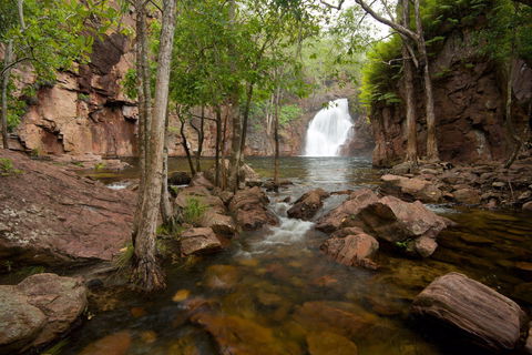 Florence Falls - Accommodation Sunshine Coast 0