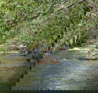 Florence Creek walk - Accommodation Sunshine Coast