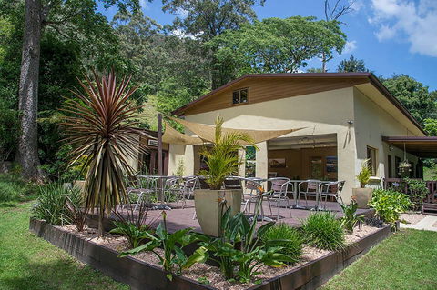 Kramer Photography Rainforest Gallery - Accommodation Sunshine Coast 2