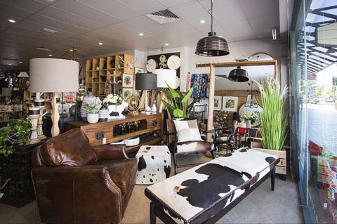 Mary And Tex Curious Emporium - Accommodation Sunshine Coast 0