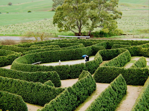 Mintaro Maze - Accommodation Sunshine Coast 1