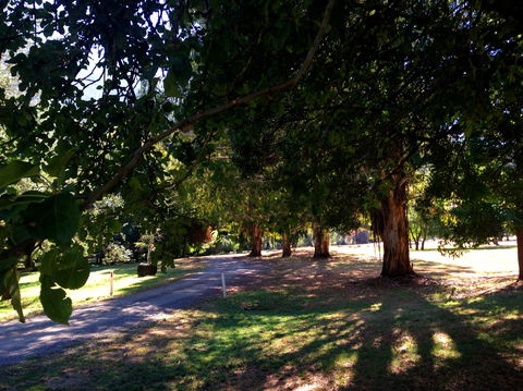 Mirimbah Park - Accommodation Sunshine Coast 0