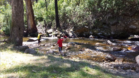 Mirimbah Park - Accommodation Sunshine Coast 1