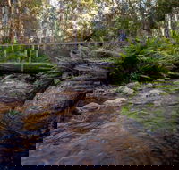 O'Neills Creek picnic reserve - Accommodation Sunshine Coast