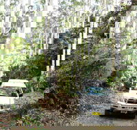Orara Escarpment 4WD Touring Route - Accommodation Sunshine Coast