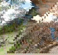 Pilliga National Park - Accommodation Sunshine Coast