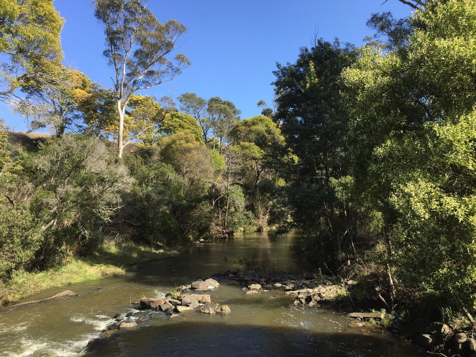 Pipers River TAS Accommodation Sunshine Coast