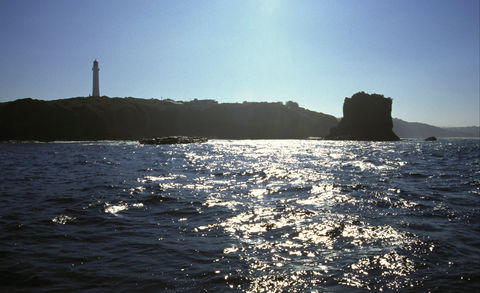 Point Addis Marine National Park - Accommodation Sunshine Coast 2