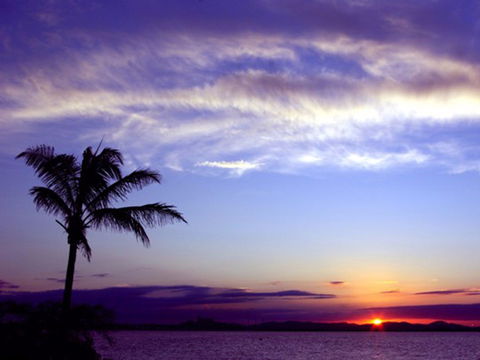Quoin Island Retreat And Turtle Rehabilitation Centre - Accommodation Sunshine Coast 0