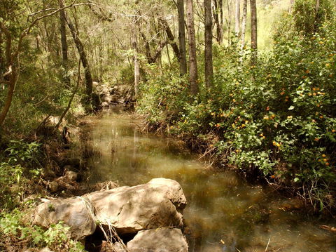 Sandy Creek Track - Accommodation Sunshine Coast 0
