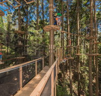 TreeTops Sydney The Hills - Accommodation Sunshine Coast