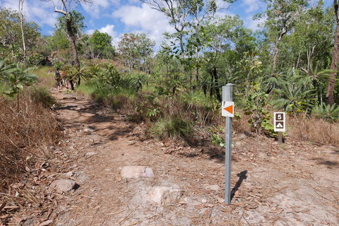 Walker Creek - Accommodation Sunshine Coast 2