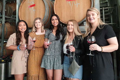 Hunter Valley Wine Tour From The Hunter With Wine Craft Beer Cheese Chocolate - Accommodation Sunshine Coast 1