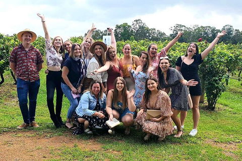 Hunter Valley Wine Tour From The Hunter With Wine Craft Beer Cheese Chocolate - Accommodation Sunshine Coast 6
