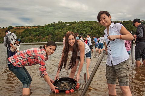 Catch A Crab Tour With Optional Seafood Lunch - Accommodation Sunshine Coast 6