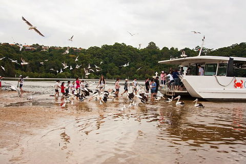 Catch A Crab Tour With Optional Seafood Lunch - Accommodation Sunshine Coast 1