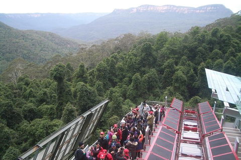 Blue Mountains PRIVATE - Full Day Tour - 6 People Max - Accommodation Sunshine Coast 3