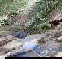 Bomaderry Creek Regional Park - Accommodation Sunshine Coast