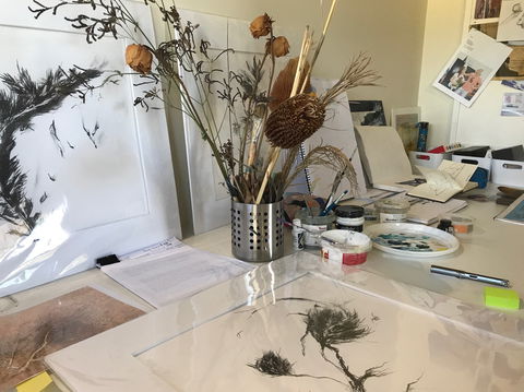 Sandra Blackburne Art Studio And Gallery - Accommodation Sunshine Coast 1