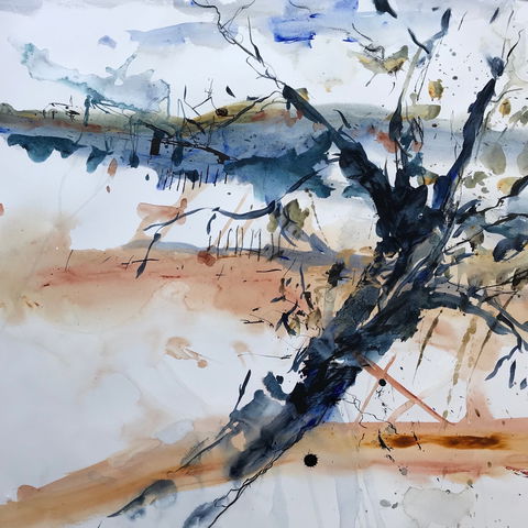 Sandra Blackburne Art Studio And Gallery - Accommodation Sunshine Coast 2