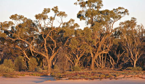 Yawura Yarun - Accommodation Sunshine Coast 0
