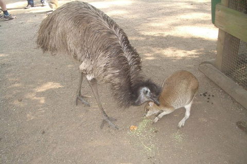 Blue Mountains PRIVATE Day Tour - Accommodation Sunshine Coast 4