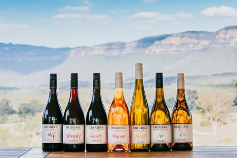 Taste Of The Blue Mountains - Lunch & Wine Tasting, Beer, Cider & Gin Tasting - Accommodation Sunshine Coast 1