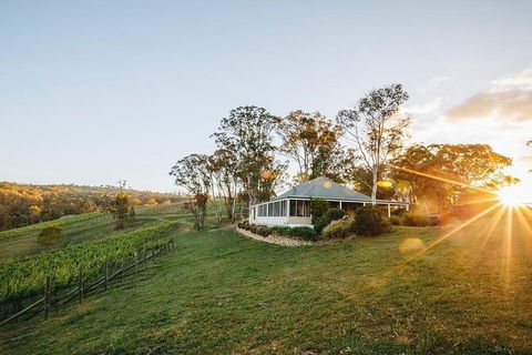 Taste Of The Blue Mountains - Lunch & Wine Tasting, Beer, Cider & Gin Tasting - Accommodation Sunshine Coast 6