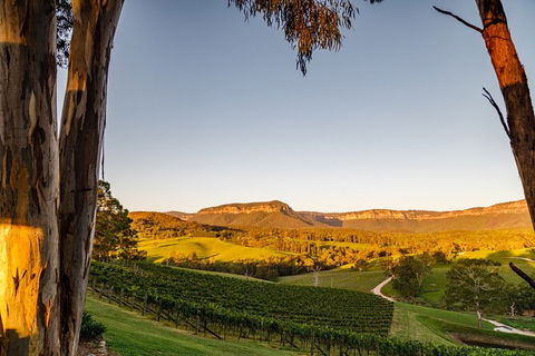 Taste Of The Blue Mountains - Lunch & Wine Tasting, Beer, Cider & Gin Tasting - Accommodation Sunshine Coast 11
