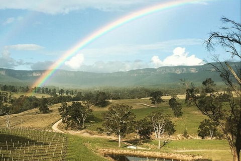 Taste Of The Blue Mountains - Lunch & Wine Tasting, Beer, Cider & Gin Tasting - Accommodation Sunshine Coast 2