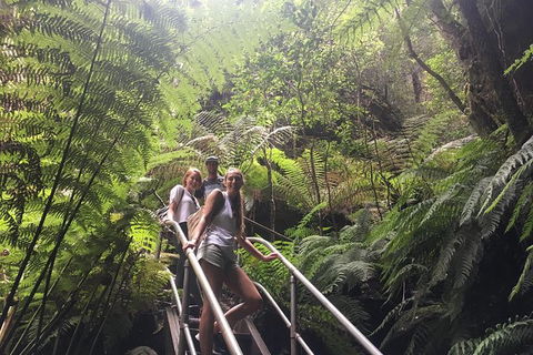 Blue Mountains Full Day Nature Tour For Four - Accommodation Sunshine Coast 2