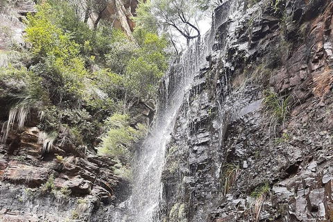 Blue Mountains Full Day Nature Tour For Four - Accommodation Sunshine Coast 1