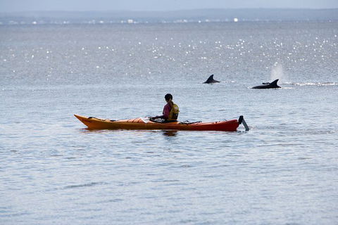 Half-Day Jervis Bay Sea Kayak Tour - Accommodation Sunshine Coast 4