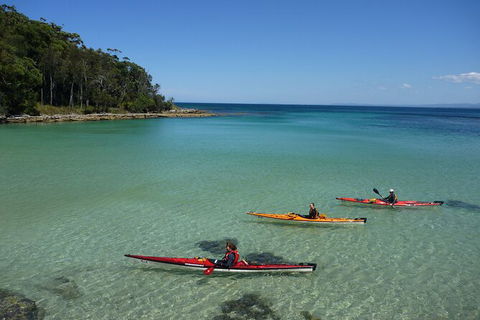 Half-Day Jervis Bay Sea Kayak Tour - Accommodation Sunshine Coast 3
