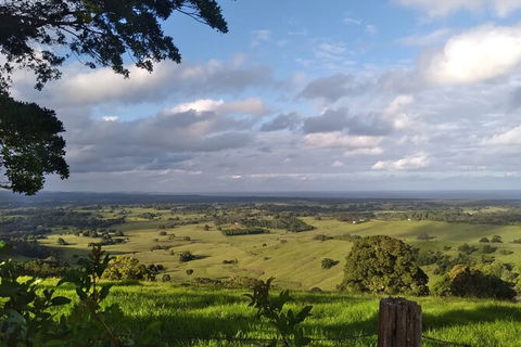 Coffee Farm Tour And Workshop, Byron Bay Hinterland - Accommodation Sunshine Coast 4