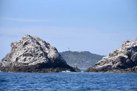 Julian Rocks Byron Bay Cruise - Accommodation Sunshine Coast 14
