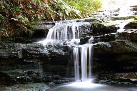 Private 10-hour Tour To Blue Mountains From Sydney - Hotel Pick Up & Drop Off - Accommodation Sunshine Coast 6