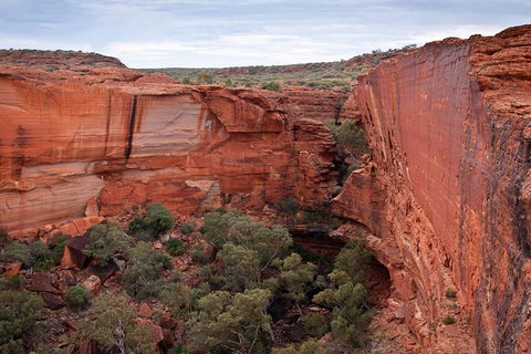 Uluru, Kata Tjuta And Kings Canyon Camping Safari From Alice Springs - Accommodation Sunshine Coast 4