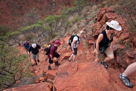 Uluru, Kata Tjuta And Kings Canyon Camping Safari From Alice Springs - Accommodation Sunshine Coast 3